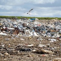 Латвия находится в хвосте ЕС по утилизации отходов
